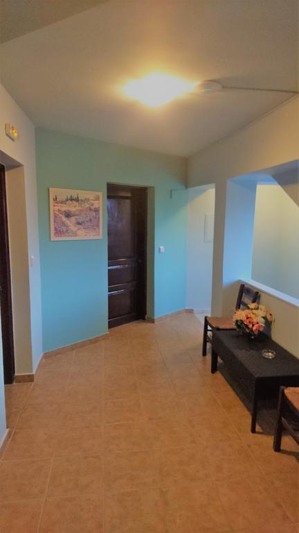 Doras Zante Studios & Apartments Аргаси Екстериор снимка